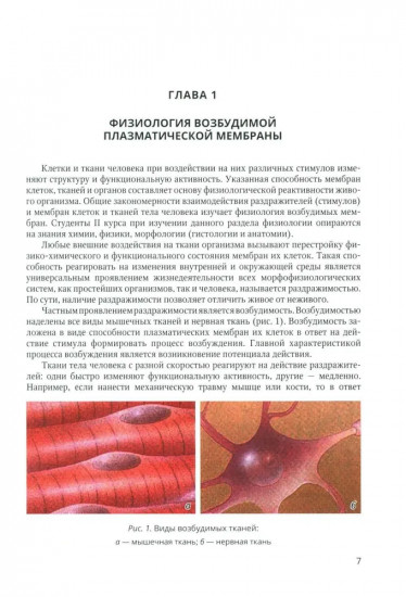 Физиология возбудимых мембран. Учебное пособие
