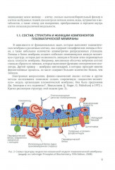 Физиология возбудимых мембран. Учебное пособие - Фото 5