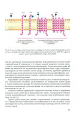 Физиология возбудимых мембран. Учебное пособие - Фото 9