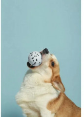 Игрушка для собак «Мяч» - Фото 2