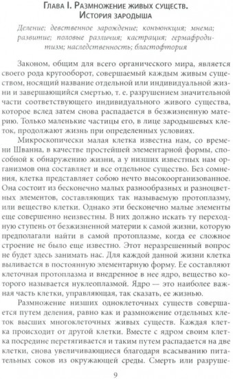 Половой вопрос. Любовь как извращение