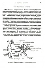 Введение в науку о языке. Лингвистика XXI века. Том 1. Теория языка. Язык и познание - Фото 7