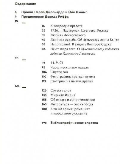 В то же время. Эссе и выступления