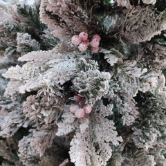 Ель снежная с ягодами - Фото 1