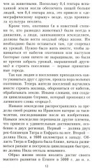 Египтяне. От древней цивилизации до наших - Фото 8