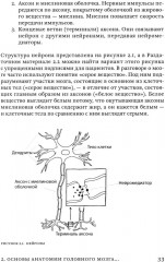 Поговорим о реабилитации при заболеваниях и травмах головного мозга. Пособие для специалистов - Фото 6