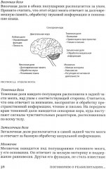 Поговорим о реабилитации при заболеваниях и травмах головного мозга. Пособие для специалистов - Фото 9