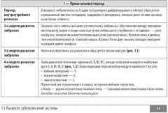 Клинические нормы. Стоматология - Фото 5