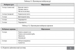 Клинические нормы. Стоматология - Фото 7