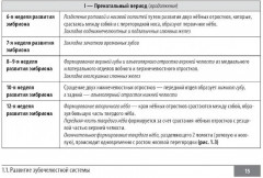 Клинические нормы. Стоматология - Фото 9