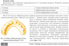 Клинические нормы. Стоматология - Фото 12