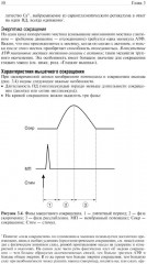 Основы медицинской физиологии - Фото 7