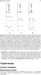 Основы медицинской физиологии - Фото 10