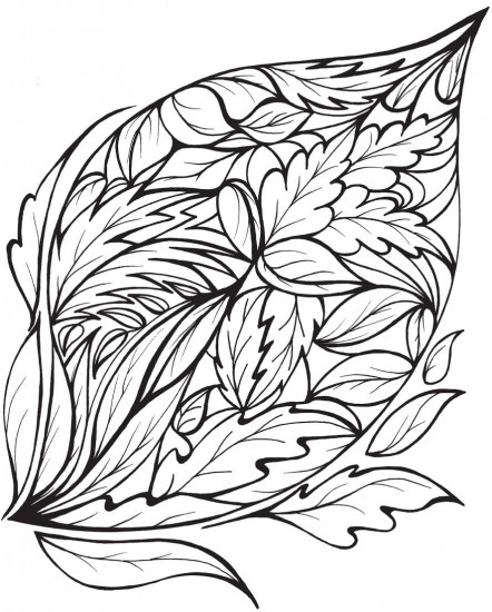 Creative Haven Calm Coloring Book