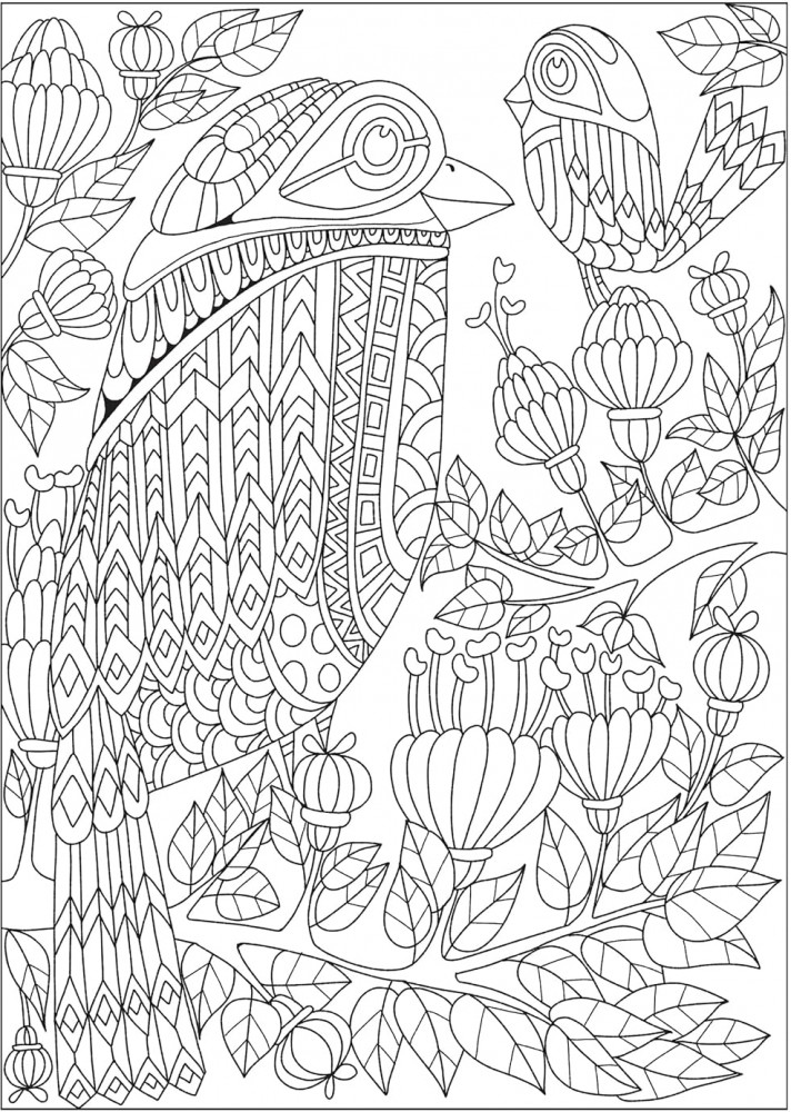 Creative Haven Fanciful Birds Coloring Book | Фото 10