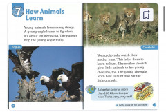 Oxford read and discover 1. Young animals - Фото 2