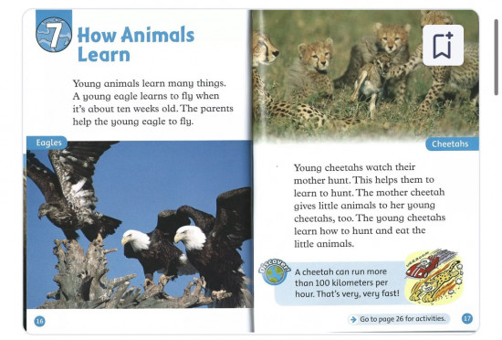 Oxford read and discover 1. Young animals