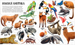 Приключения улитки Элли в мире животных - Фото 2