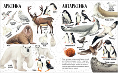 Приключения улитки Элли в мире животных - Фото 5