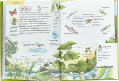 Лесной календарь. Животные и растения круглый год - Фото 1