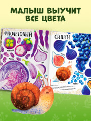 Приключения улитки Элли в мире фруктов и овощей - Фото 3