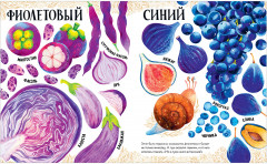 Приключения улитки Элли в мире фруктов и овощей - Фото 8