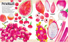 Приключения улитки Элли в мире фруктов и овощей - Фото 9