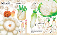 Приключения улитки Элли в мире фруктов и овощей - Фото 10