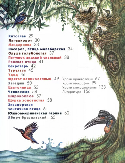 Азбука диковинных птиц. Для взрослых и детей