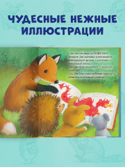 Дом, где живут книги - Фото 4