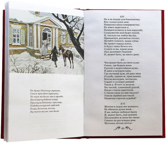 Евгений Онегин
