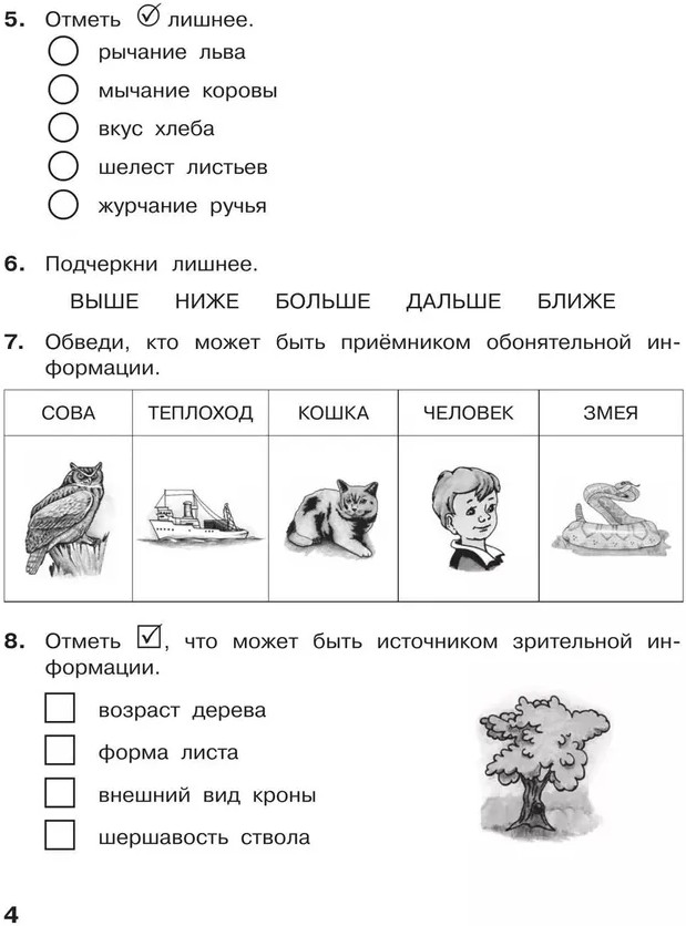 Информатика. 2 класс. Контрольные работы | Фото 2