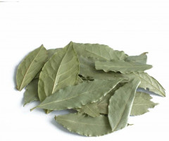 Лавровый лист - Фото 2