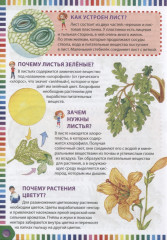 Первая энциклопедия в вопросах и ответах - Фото 3