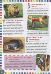 Первая энциклопедия в вопросах и ответах - Фото 4