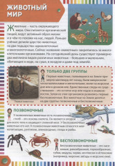 Первая энциклопедия для тех, кто уже читает - Фото 4