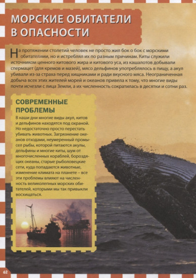 Морские обитатели
