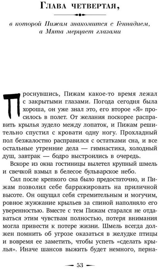 Шмель в Пижаме. Недетская сказка | Пальмира-проза | Фото 8