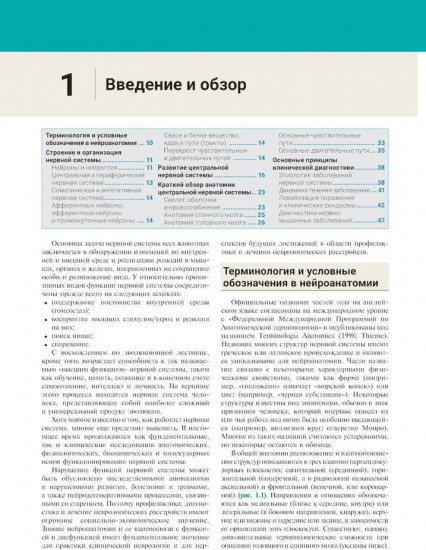 Нейроанатомия. Иллюстрированный атлас