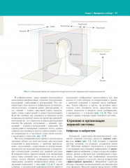 Нейроанатомия. Иллюстрированный атлас - Фото 3