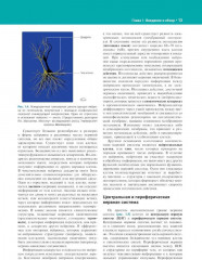 Нейроанатомия. Иллюстрированный атлас - Фото 5