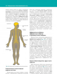 Нейроанатомия. Иллюстрированный атлас - Фото 6