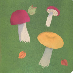 Где твой цветок? Где твой гриб? Где твоя малинка? Где твое деревце? Комплект из 4 книг - Фото 5