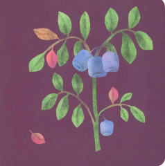 Где твой цветок? Где твой гриб? Где твоя малинка? Где твое деревце? Комплект из 4 книг - Фото 7