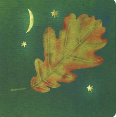 Где твой цветок? Где твой гриб? Где твоя малинка? Где твое деревце? Комплект из 4 книг - Фото 9