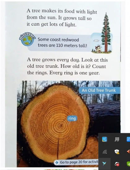 Oxford read and discover 1. Trees