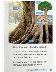 Oxford read and discover 1. Trees - Фото 2