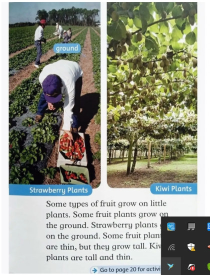 Oxford read and discover 1. Fruit