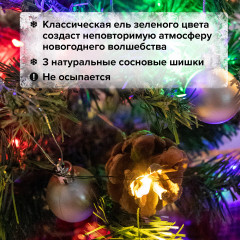 Ель декоративная - Фото 12
