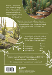 Роскошные хвойные. Виды, посадка, уход - Фото 1